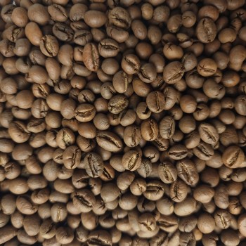 دانه قهوه پی بی (PB) (عمده)