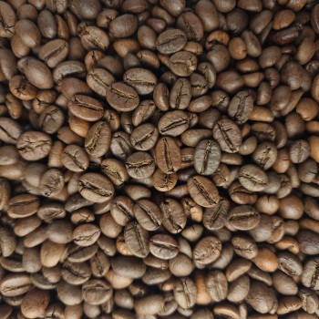 دانه قهوه ویتنام روبوستا (عمده)