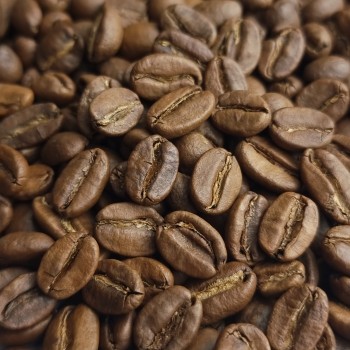 دانه قهوه اتیوپی عربیکا (عمده)